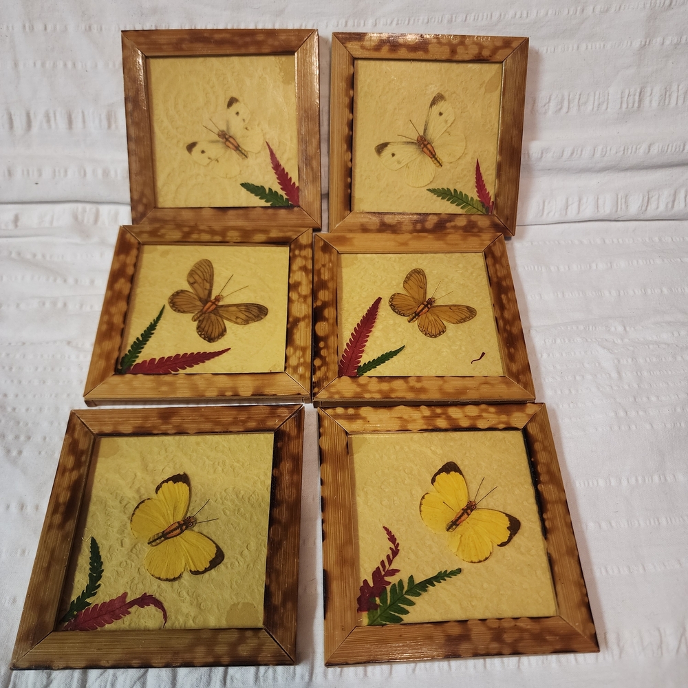 Natural Wood Butterfly Coasters